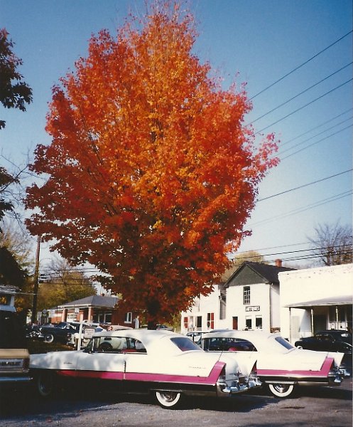 SCAN0591-001.JPG - Packards and Fall foliage in Berryville