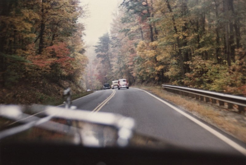 Top-032.JPG - Richard Hall photo.