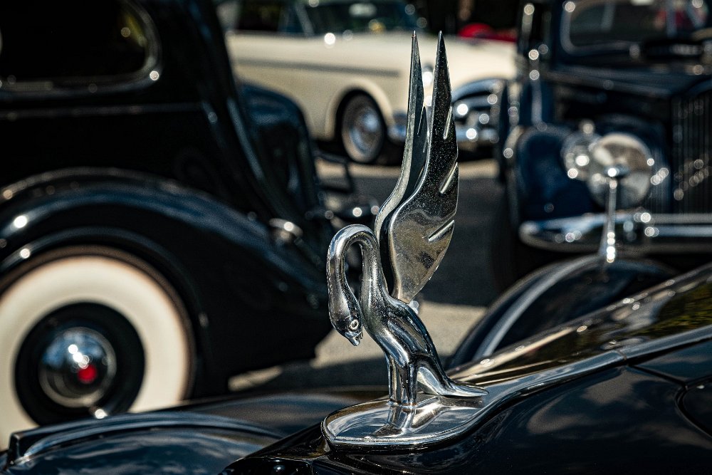 036.jpg - Photo by Raymond Boc