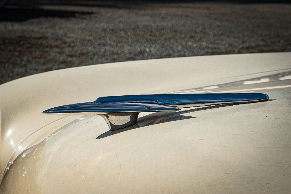 049.jpg - Photo by Raymond Boc