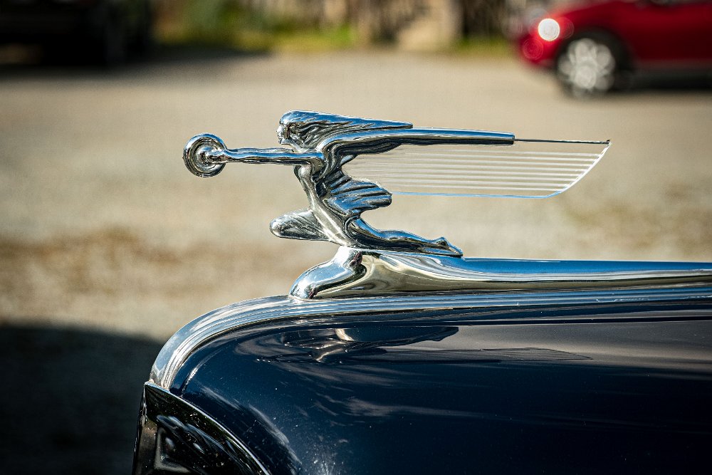 050.jpg - Photo by Raymond Boc