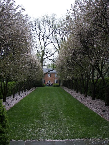100_0704.jpg - The Grand Allee of Glen Burnie