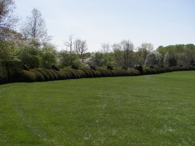 100_2483.jpg