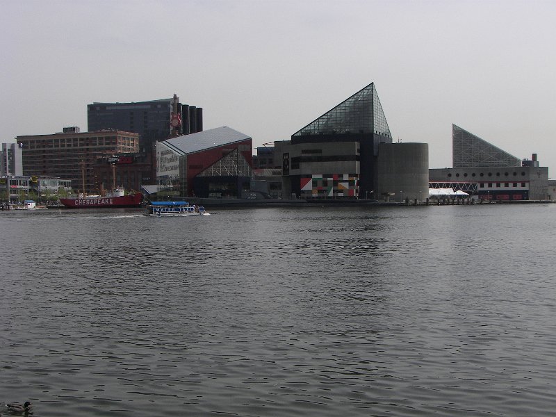 100_2574.jpg
