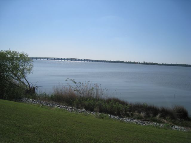 IMG_2421.jpg